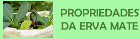 Propriedades da Erva Mate