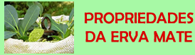 Propriedades da Erva Mate