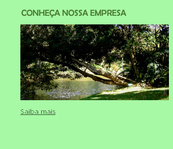 Empresa